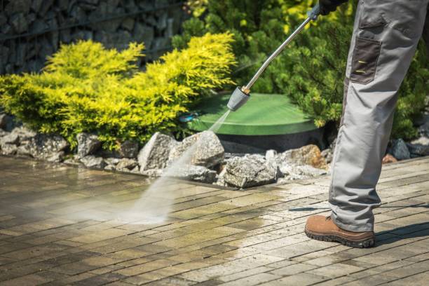 Best Playground Equipment Cleaning  in Davis, CA