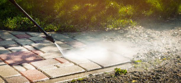 Best Driveway Pressure Washing  in Davis, CA